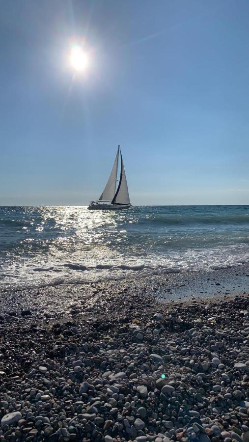 Apartman Ana Zeleni Pojas Bar Luaran gambar