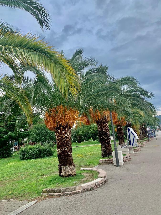 Apartman Ana Zeleni Pojas Bar Luaran gambar